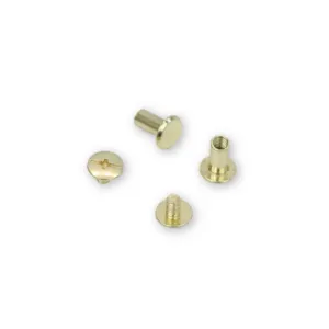 12 LARGE CHICAGO SCREWS 10MM Gold--- Sallie Tomato