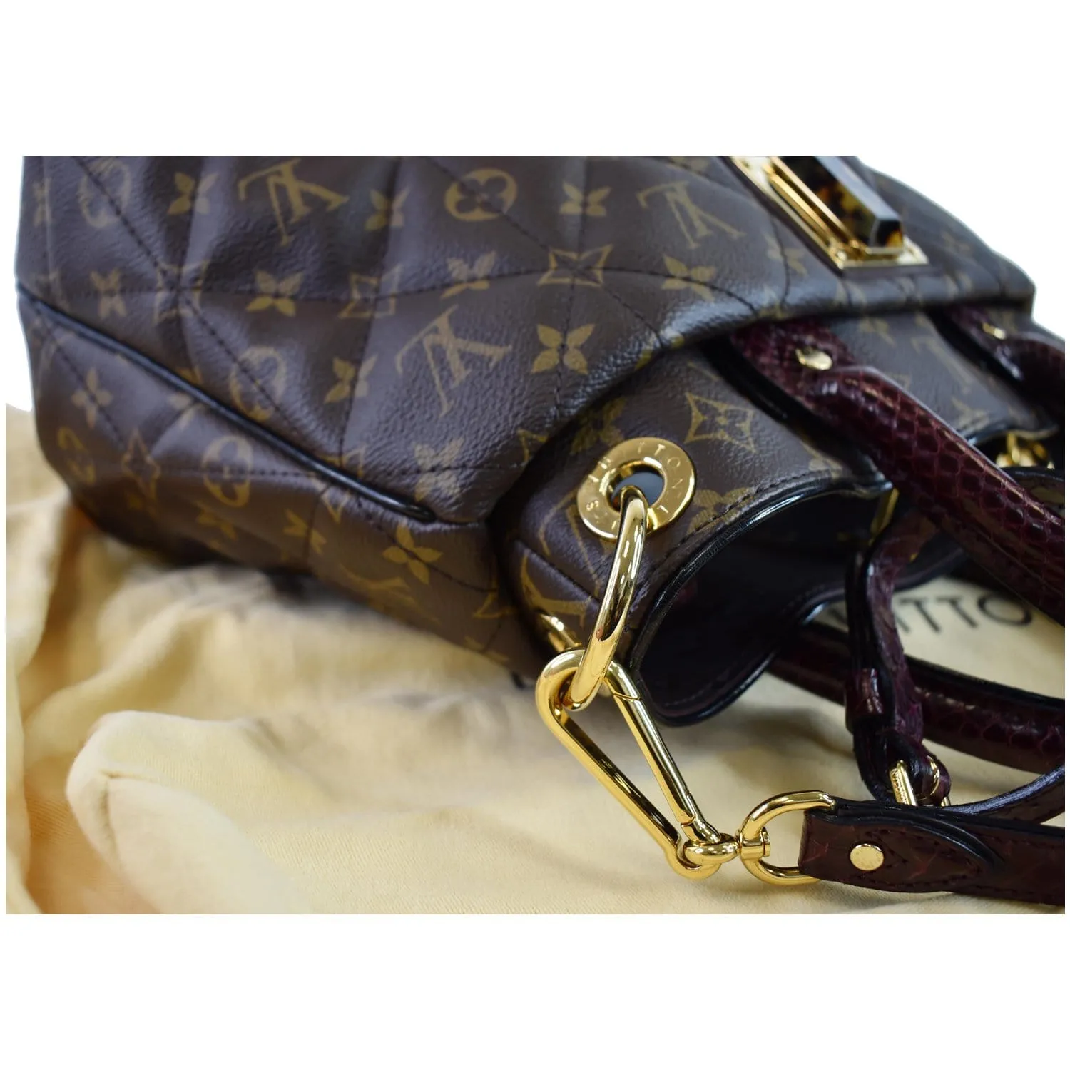 LOUIS VUITTON Etoile MM Exotique Monogram Canvas Shoulder Bag Brown