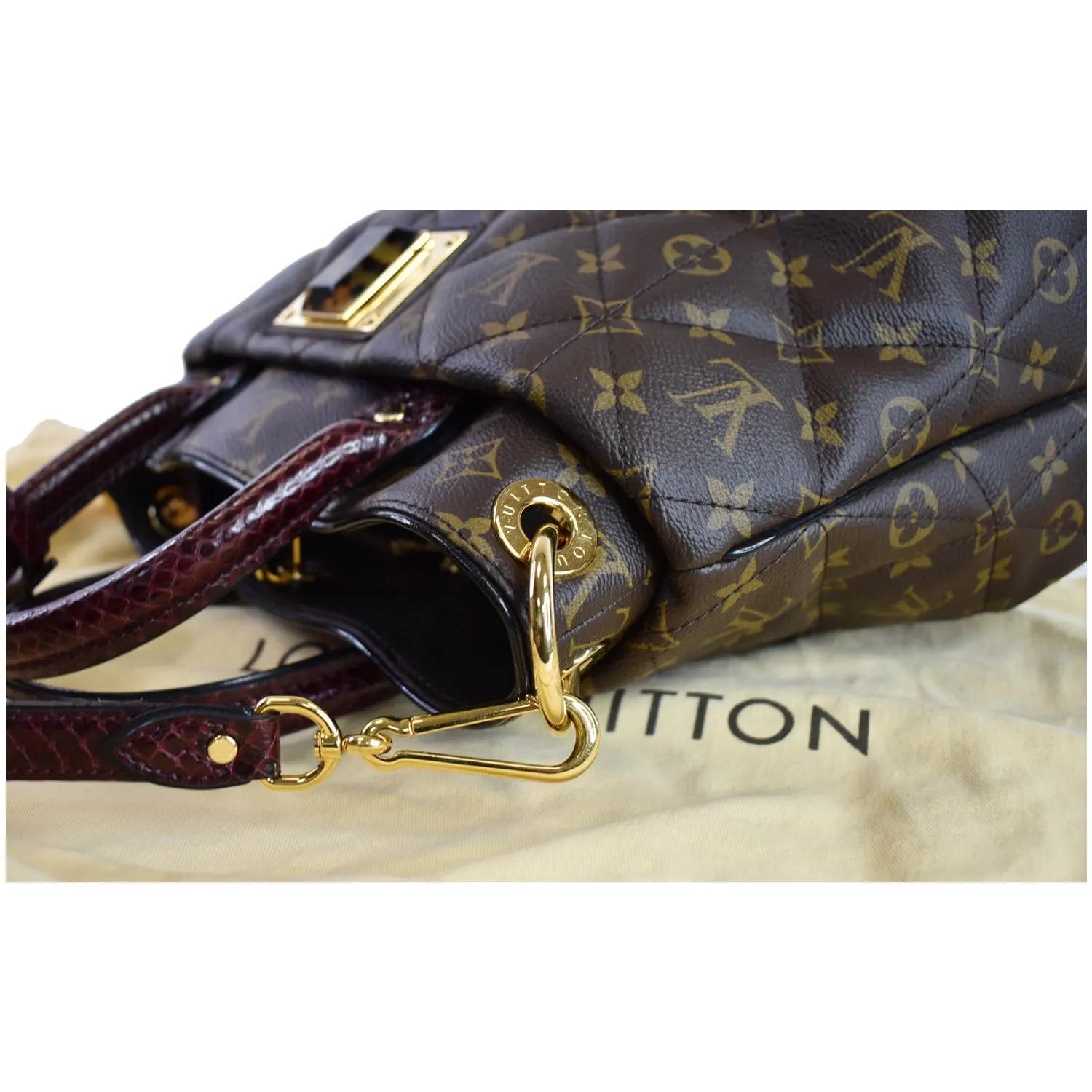 LOUIS VUITTON Etoile MM Exotique Monogram Canvas Shoulder Bag Brown