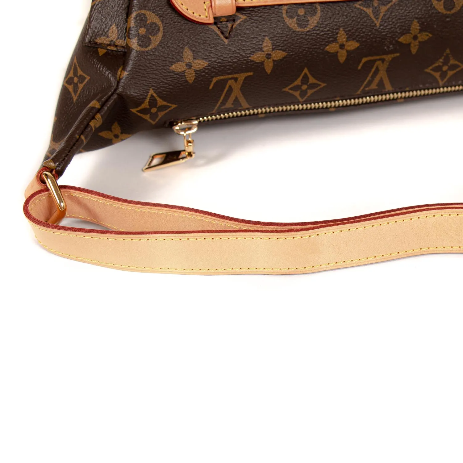 Louis Vuitton Monogram Bumbag