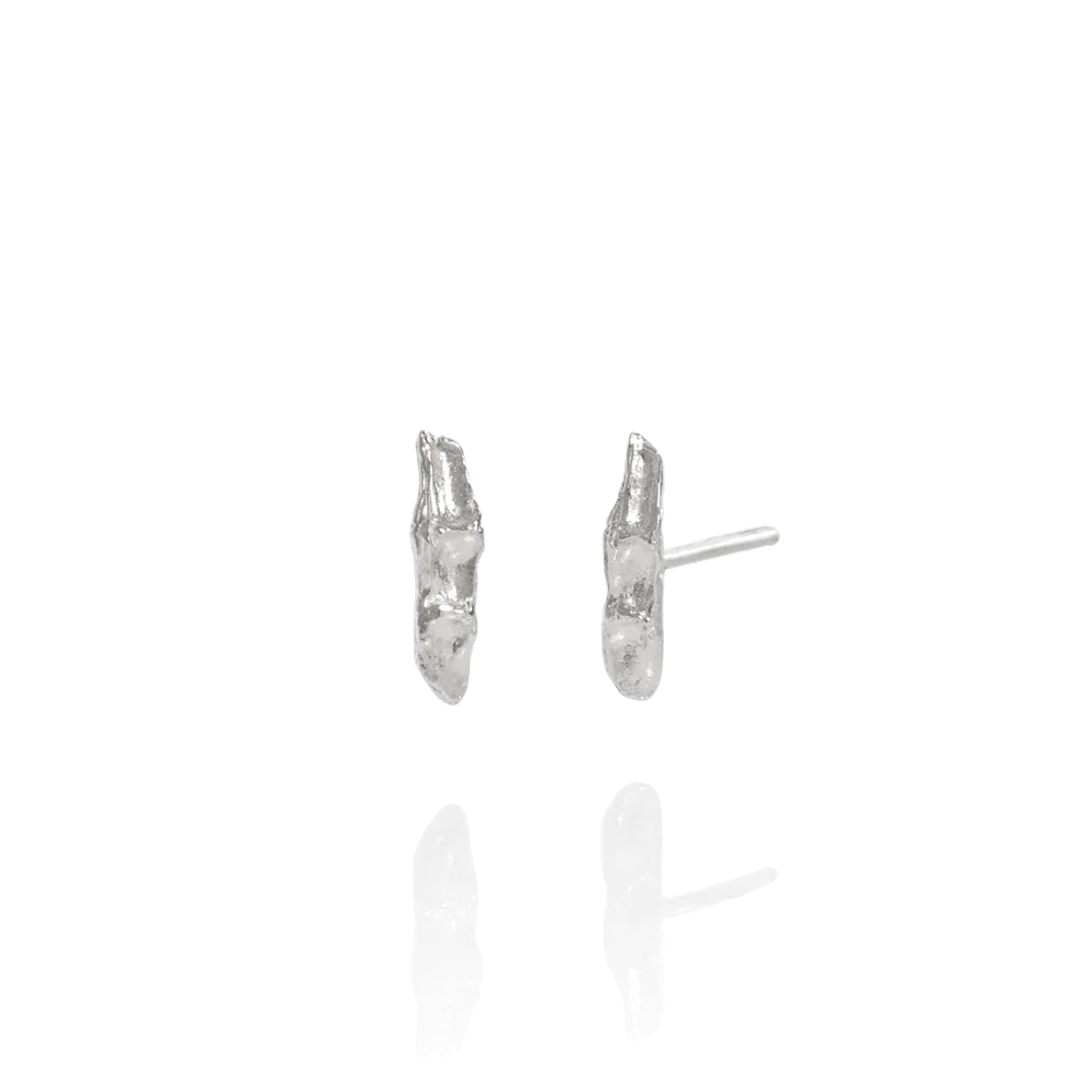 Men's earrings