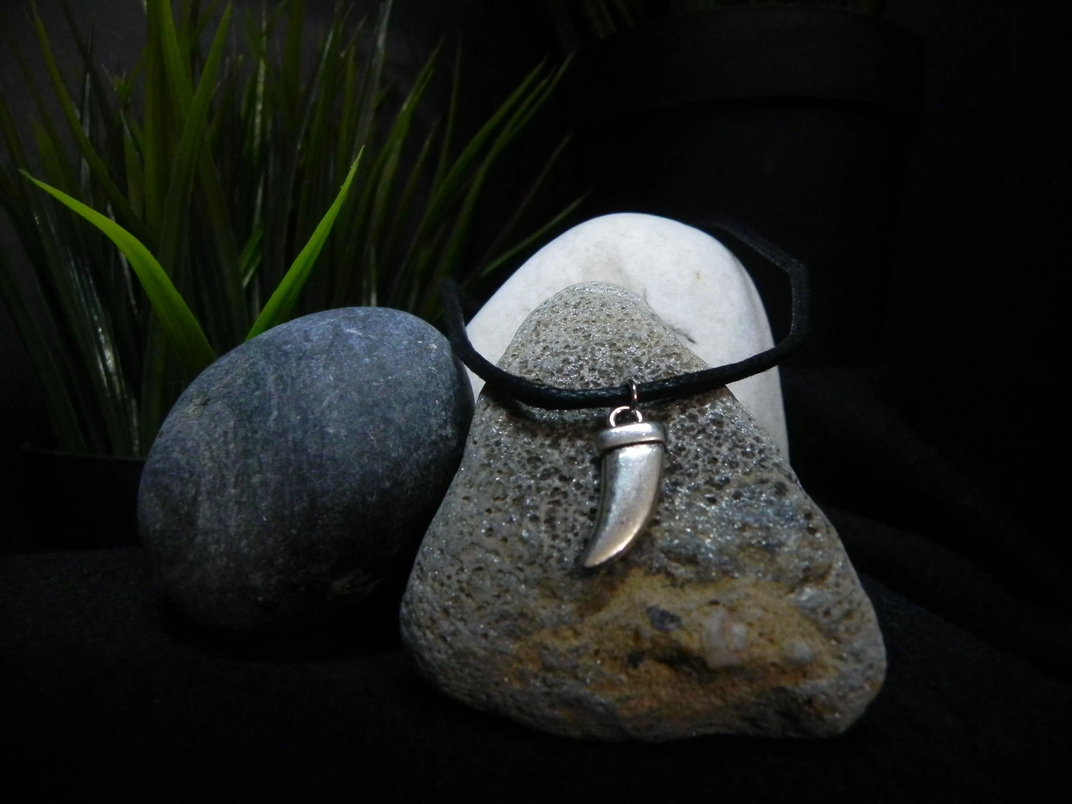 Silver Tooth